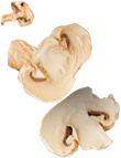 Tawook